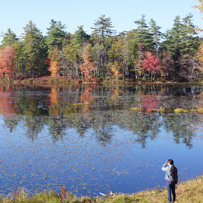 New_England_Fall_2014-018