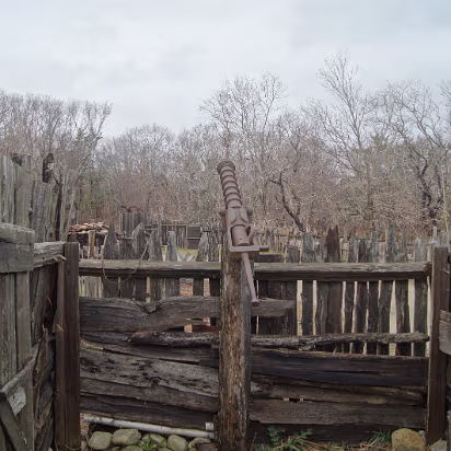 Thanksgiving_2014-017