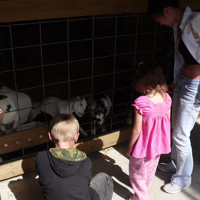 Apple_Orchard_Day-007 Cole, Cassie, and Hanhan in the petting zoo.