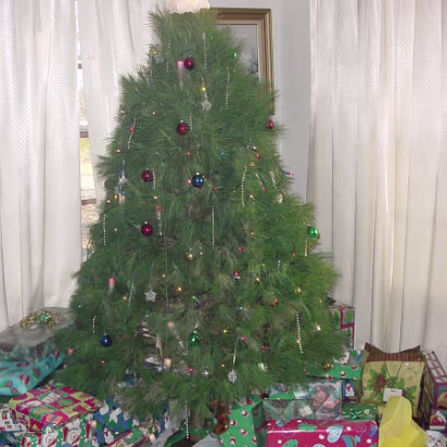 Christmas_2003-005 The tree at Ed & Sharon's. All the gifts are for us to unwrap today!