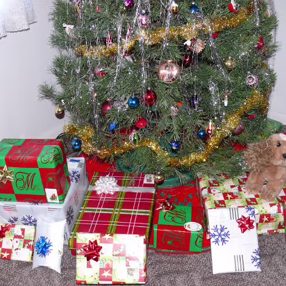 Christmas_2007-014 The gifts protected by the Christmas dog!