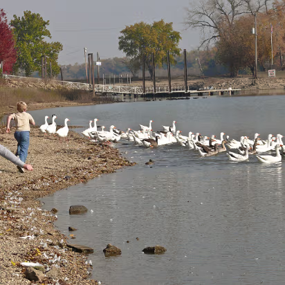 Fall_2008-003 Hanhan and Cole scaring the birds away.