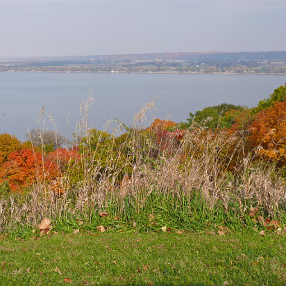 Fall_2008-022 The grasses have turned brown while the tress are at their peak.
