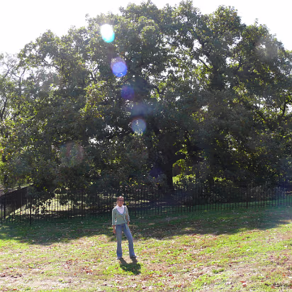 Fall_Color-003 Hanhan and a 500 year old tree.