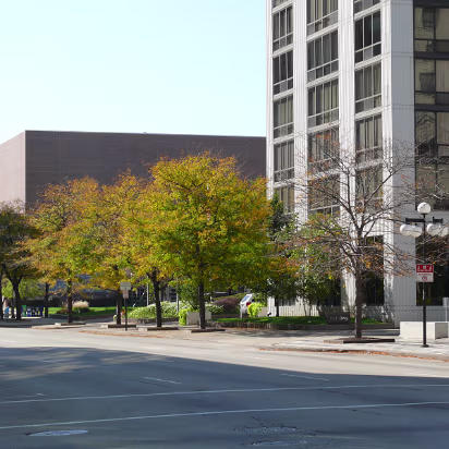 Fall_Color-018 Empty street for being in the center of town.