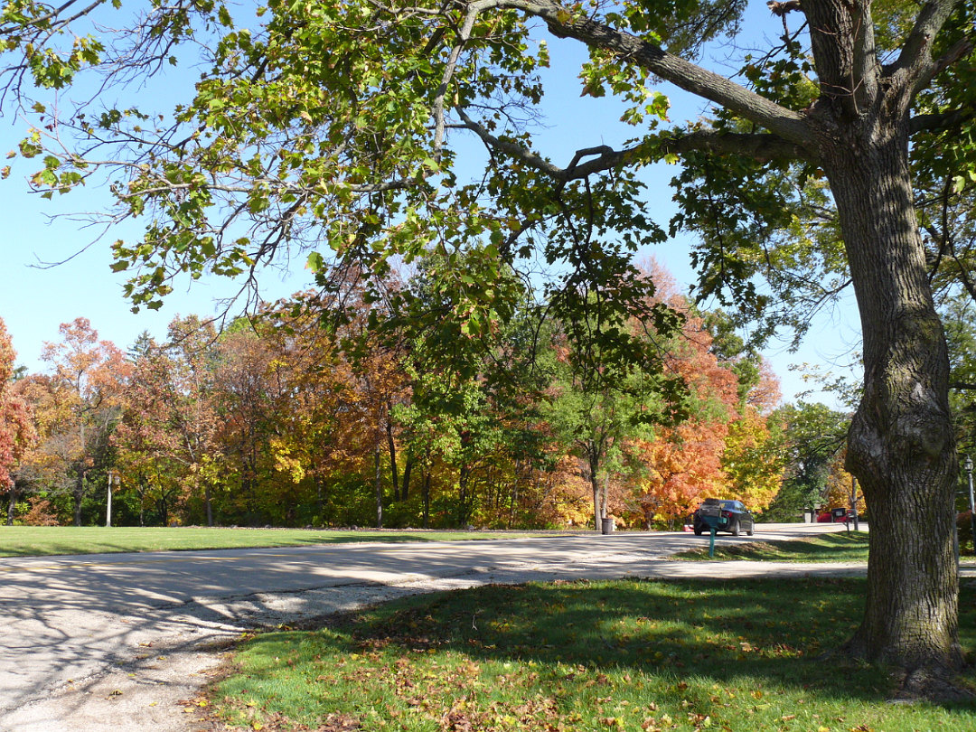 Fall_Color-028