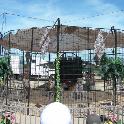 HOIFair_2007-013 Watching the tiger show. The tigers live in Peoria!