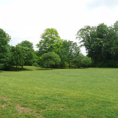 Independence_Day-052 A view of the crowds at the park. Ha!