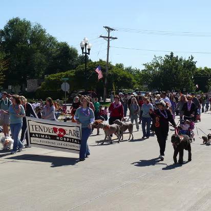 Pumpkin_Festival_2007-019 Lots of dogs in various states of dress and undress.