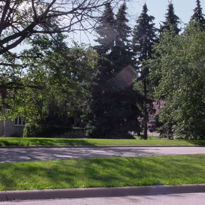 Random-007 A random shot while driving along.