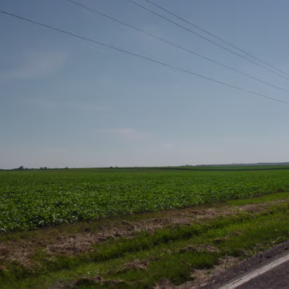 Random-014 As far as the eye can see once you leave the cities.