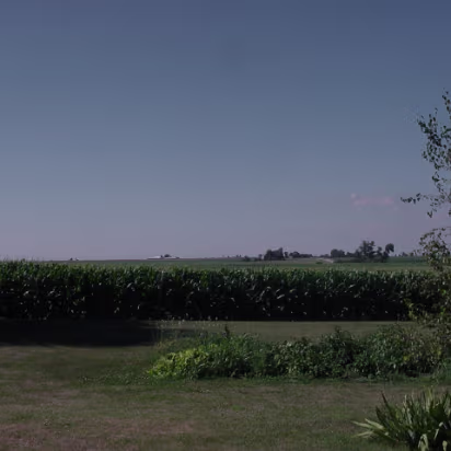 Random-020 Illinois is very flat and full of corn and soybeans.