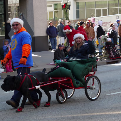 Santa_Claus_Parade_2007-032 A dog sled. Note the booties!