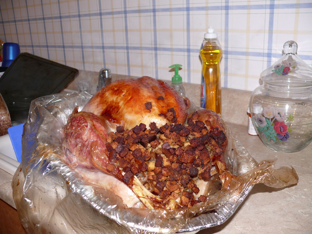 Thanksgiving_2007-027