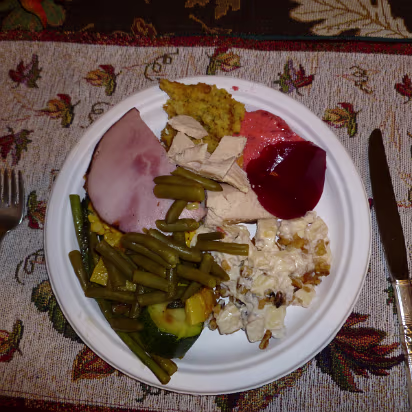 Thanksgiving_2010-014