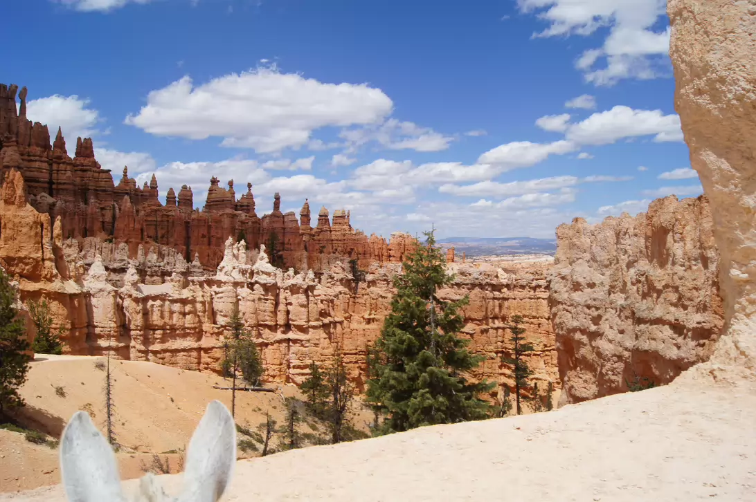 Bryce_Canyon_NP-158