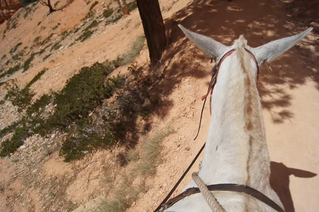 Bryce_Canyon_NP-184