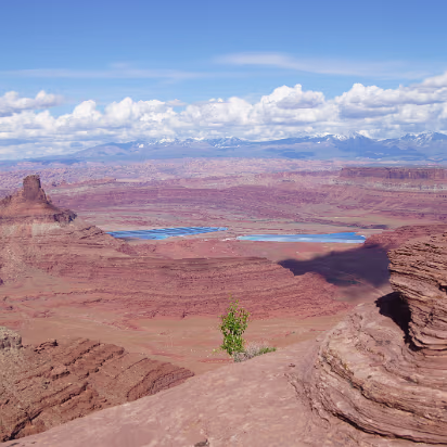 Canyonlands_NP-062 The aquamarine pools are not a natural feature. They are salt evaporation ponds for a salt mine.