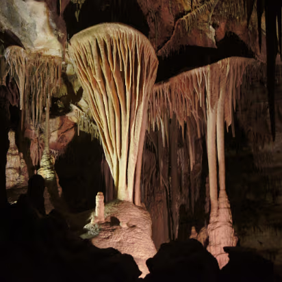 Great_Basin_NP-034 The parachutes, a shield formation unique to this cave system. We think they look like jellyfish though.