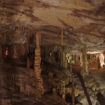 Great_Basin_NP-039 See the straws along the cracks in the ceiling? Come back in 200,000-300,000 years to see the finished product.