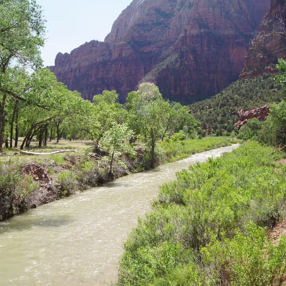 Zion_NP-053 Looks just like Illinois. If you don't see the mountains anyway!