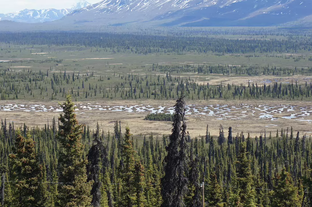 Alaska-422