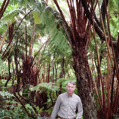 Hawaii-002 Heading to our rainforest room.