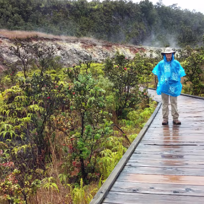 Hawaii-010 On the path to the sulpher bank. Rotten eggs anyone?