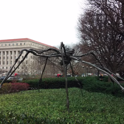 Christmas_2015_Trip-016 Horrible spiders are everywhere in DC