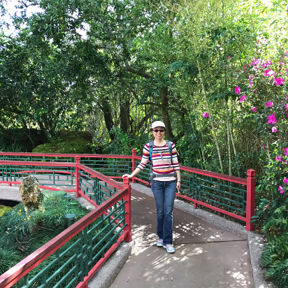 Florida_2017-030 A typical Chinese garden. They have all the details perfect.