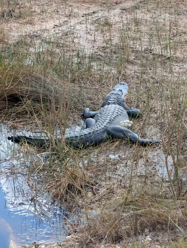 Florida2025-017