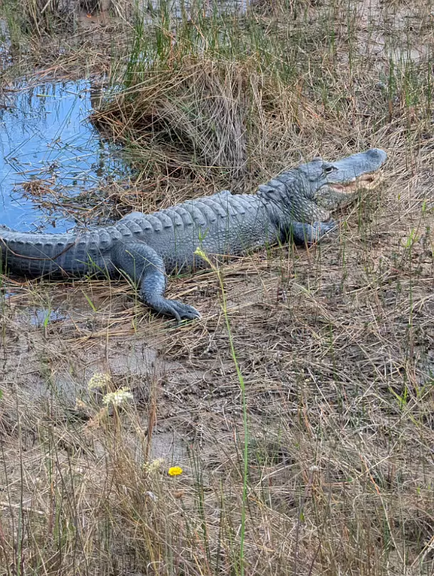 Florida2025-018