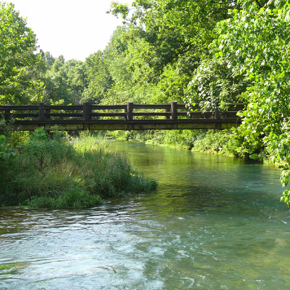 Missouri_2008-022 Foot bridge over a stream fed by spring water.