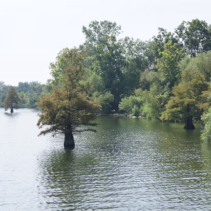 New_Orleans_Trip-007