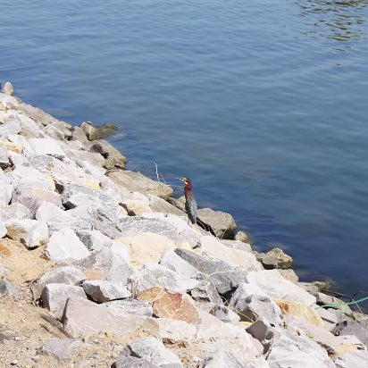 New_Orleans_Trip-009