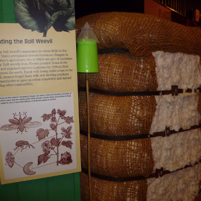 New_Orleans_Trip-039