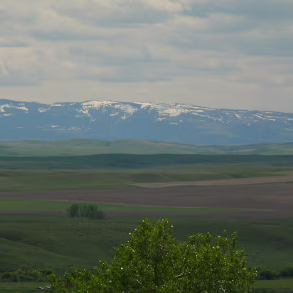 Custer-027 The first snow covered mountain Hanhan has seen.