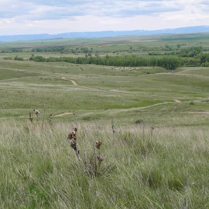 Custer-029 Little Big Horn, exactly the same as when Custer was here. Except for Indians.