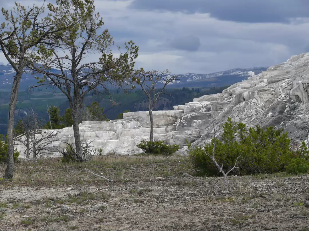 Yellowstone-192