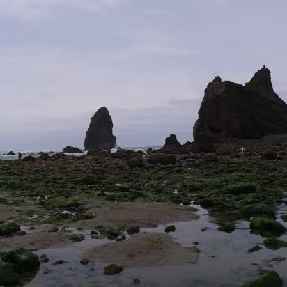 Ocean-015 Tidal pools. Can't get near them as the Beach Police will come hollar at you.