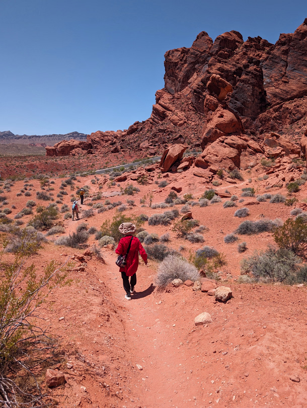 Las_Vegas_Area_2024-069