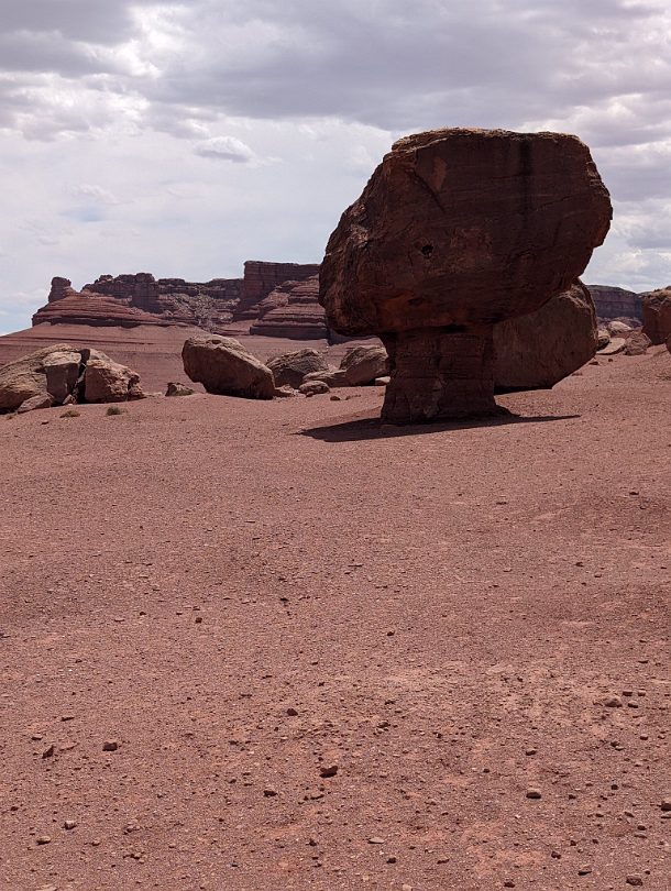 Glen Canyon_Vermillion_Cliffs_Horseshoe_Bend-078