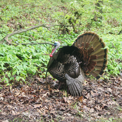 Southeastern_Trip_2013-013