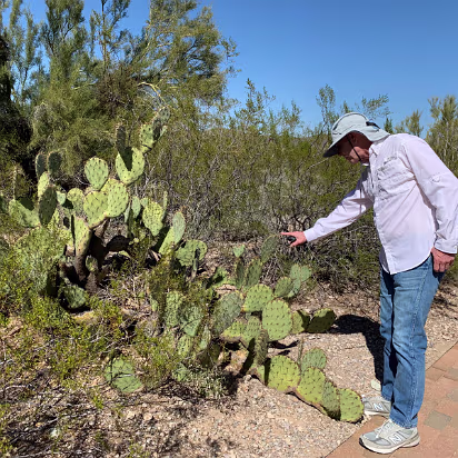 Southwest_2022-004 Prickly pear cactus are aptly named as Gary found.