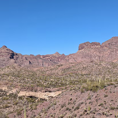 Southwest_2022-009 Cactus grow right up to the solid rock of the mountain.