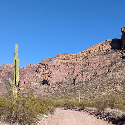 Southwest_2022-013 Our favorite picture of the southwest, an arch and saguaro.