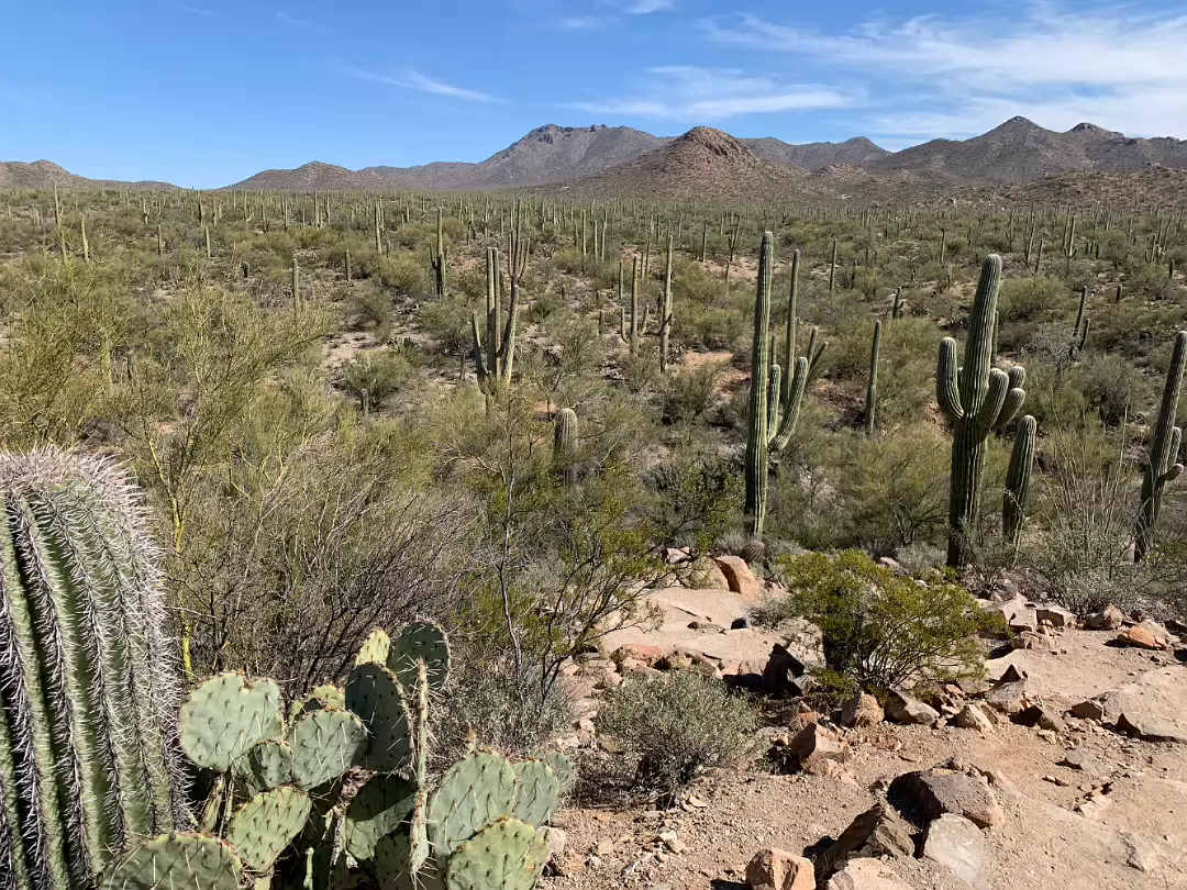 Southwest_2022-027