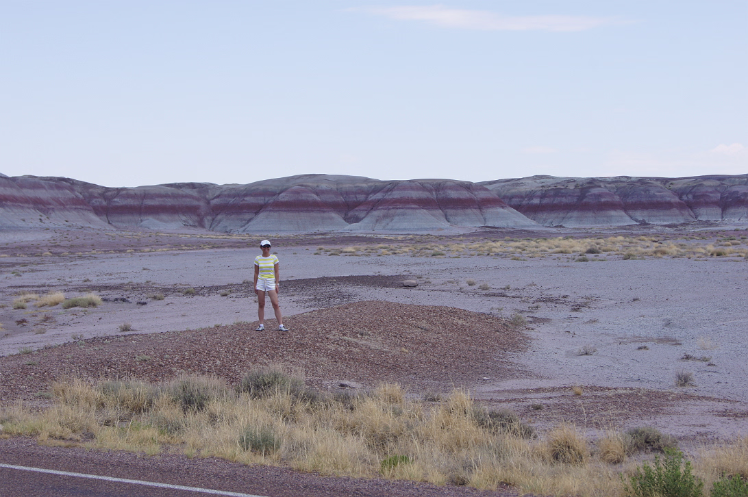 Arizona_2012-065