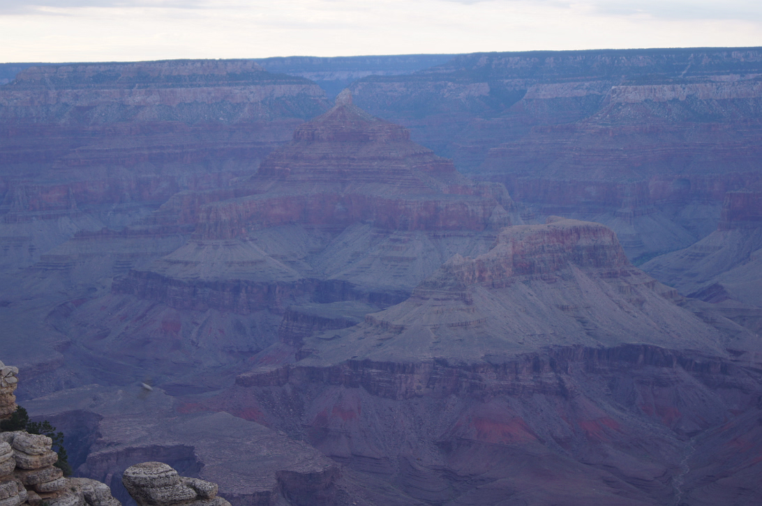 Arizona_2012-156