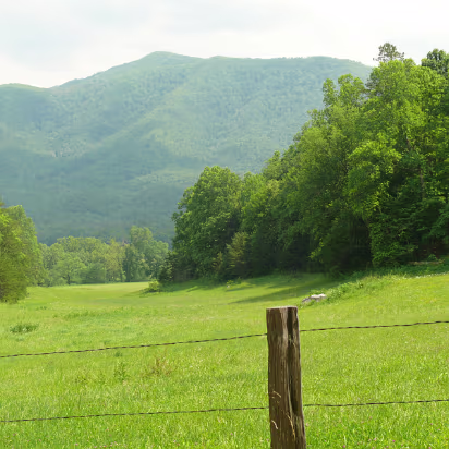 Tennessee-019 Looking down a valley near the cabin.